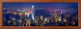 Victoria Harbour and Skyline from the Peak  Hong Kong  China