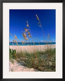 Grace Bay Beach  Turks & Caicos Islands