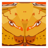 Dragon Eyes