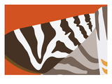 Uphill Zebra