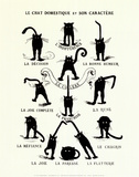 French Caractere (Le Chat Domestique)