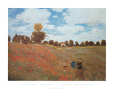 Field of Poppies