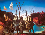 Swans Reflecting Elephants  c1937