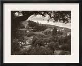 Mount Of Olives