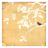 Song Birds V - Yellow