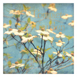 Dogwood I - Blossoming Tree