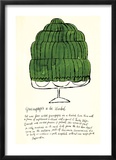 Wild Raspberries  c1959 (green)