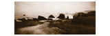 Sepia Island Shores II
