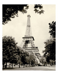 Eiffel Tower I - black and white