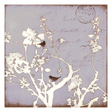 Song Birds VII - Purple