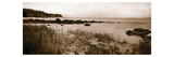 Sepia Island Shores I