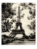 Eiffel Tower II - black and white