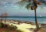 Tropical Coast