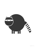 Black Raccoon
