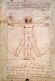 The Proportions of the Human Figure