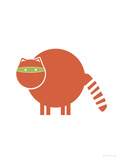 Orange Raccoon