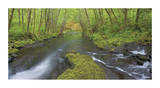 Nestucca River Panorama