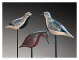 Verity Shorebirds Trio