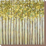 Different Shades of Green