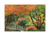 Japanese Garden I