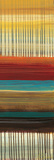 Drips & Stripes Panel II