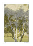 Views of Trees 3