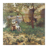 Under the Cherry Tree