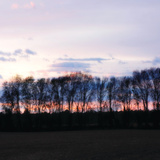 Winter Sunset Square II