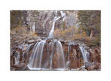 Tangle Falls II