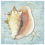Into the Sea II