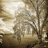 Hopewell Shores Sepia Sq II