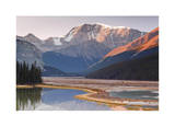 Mount Kitchener Reflection