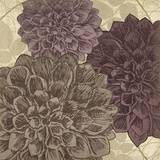 Dahlia II