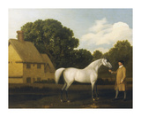 Gimcrack