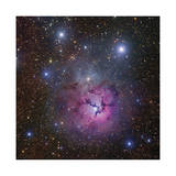 The Trifid Nebula in Sagittarius