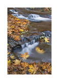 Sweet Creek Falls III