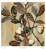 Nature's Graphic I