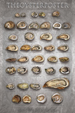 The Oyster Poster