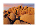 Joshua Tree Sunset II
