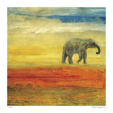 Elephant Stroll