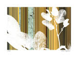 Earth Botanical I
