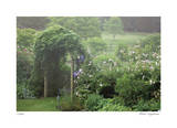Arbor Mist