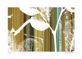 Earth Botanical II
