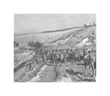 The Canadian Cavalry Watering