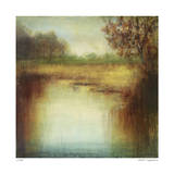 Misty Land