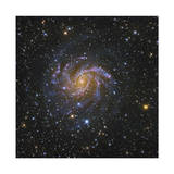 Spiral Galaxy in Cepheus