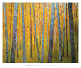 Forest Verticals