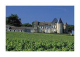 Chateau D'Yquem  Sauternes  France
