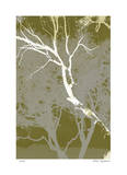 Views of Trees 4
