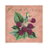 Framboises